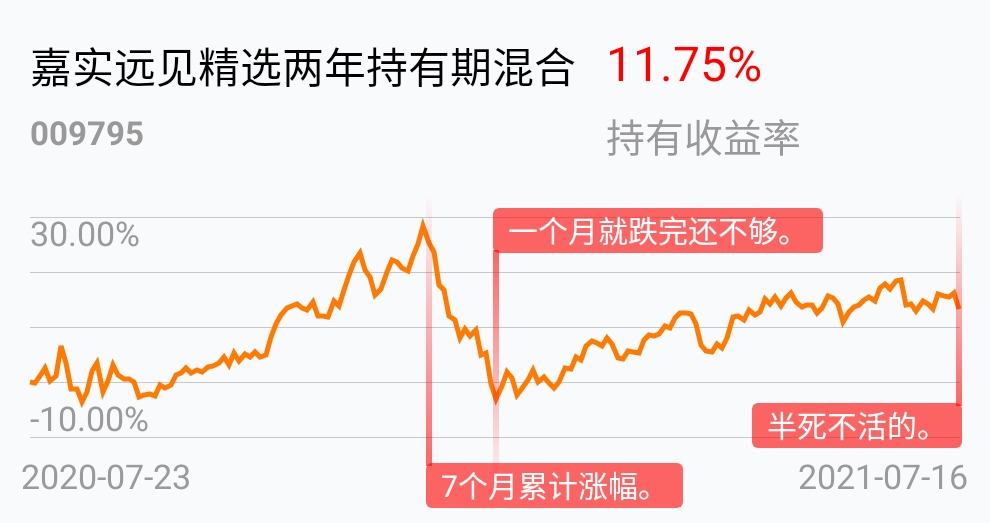 嘉实远见精选两年持有期混合(of009795)股吧_东方财富网股吧