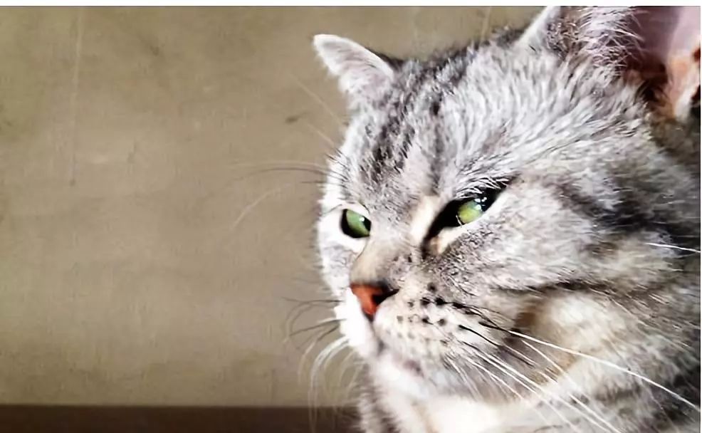 杀伤力比跌停板还猛