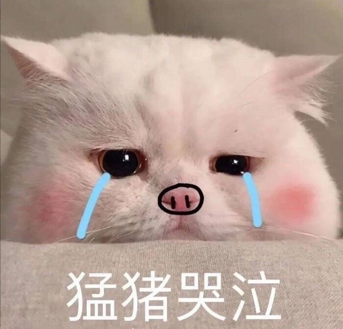 不知道该说什么好