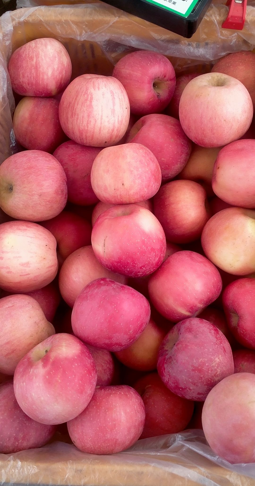 5和3块一斤的去年果.今年嘎啦苹果80零售价根据地区不同一般3块左右