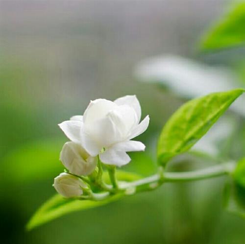手里还有资金,除了新能源,大家有没有好的未来有潜
