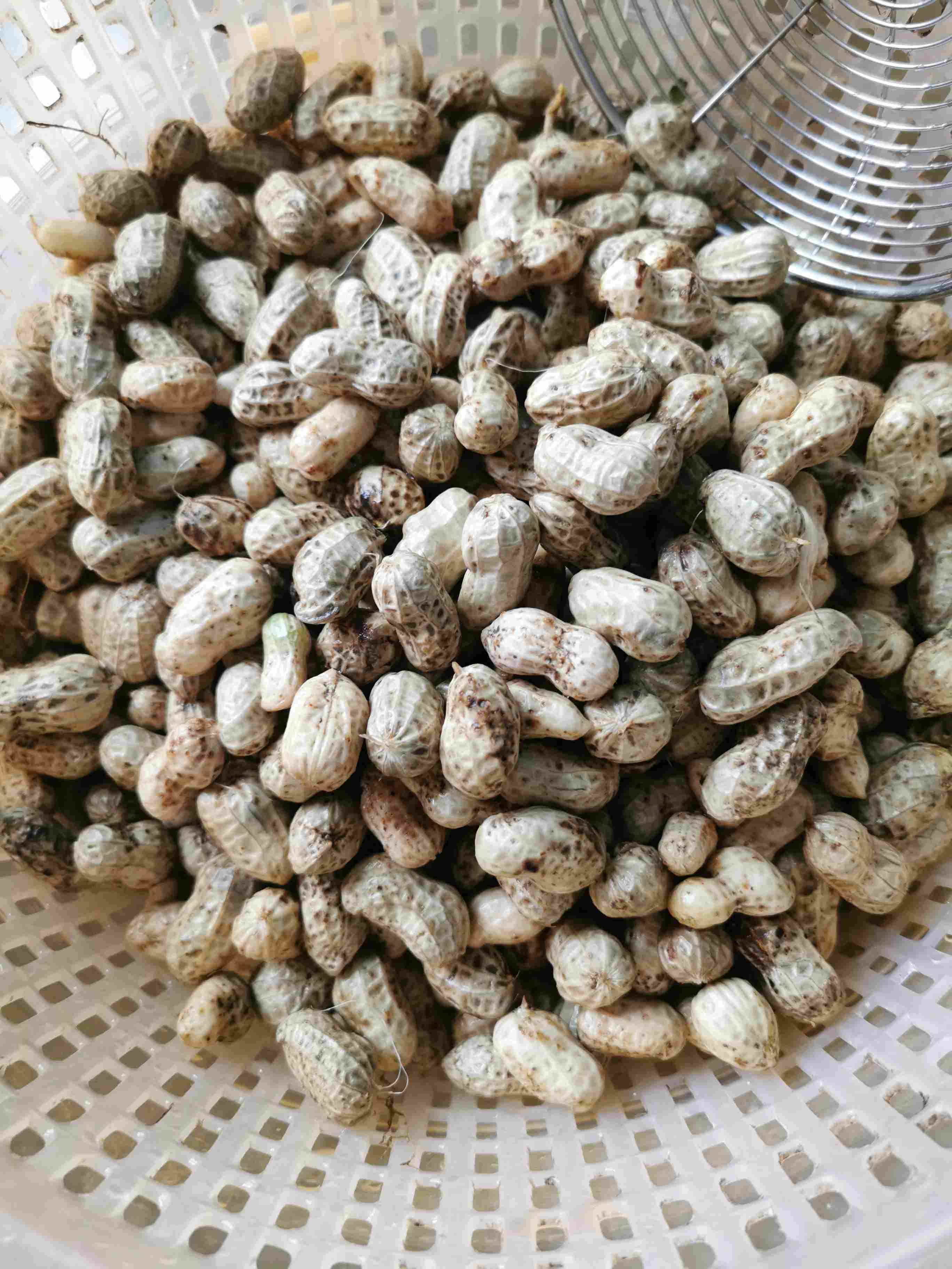 刚买的花生2块一斤