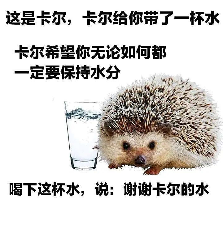 天天好心提醒你们风险还被骂好吧我打不过双拳难敌四手我追涨上车还不