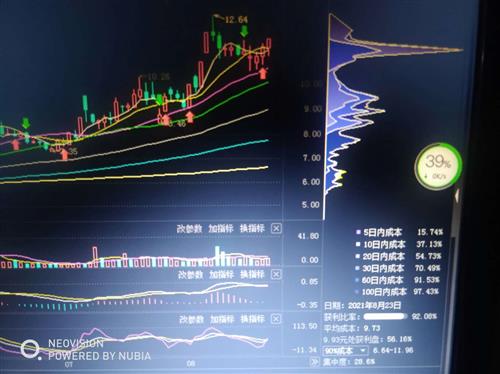 金端矿业之日k线一一1日k线8月10冲高1264元回落调至今10个交易日累计