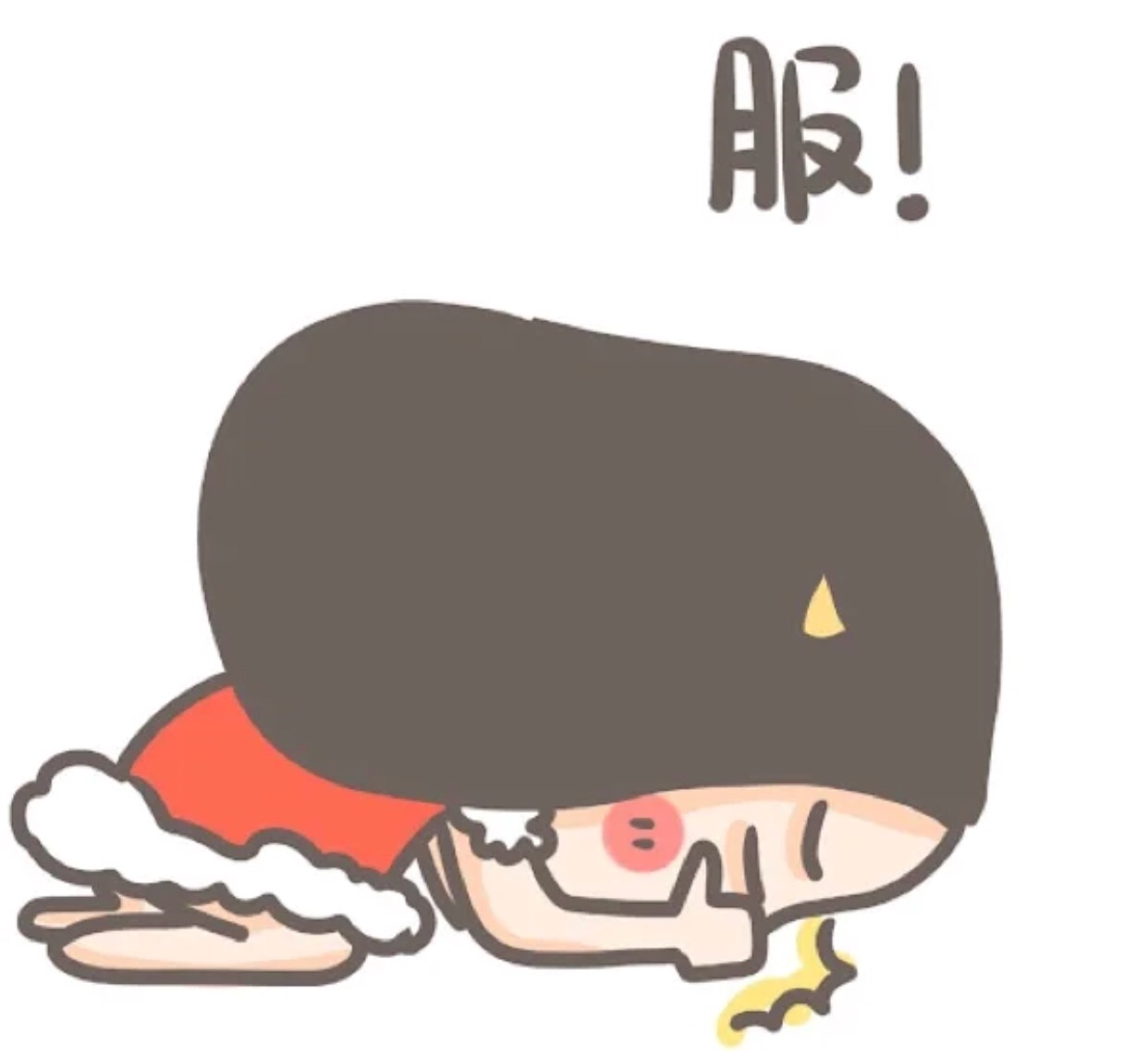 景顺长城核心中景一年持有混合吧