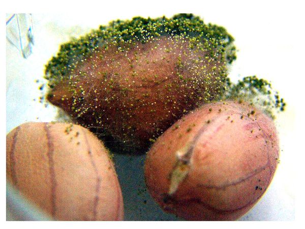 图片送给主力和机构_广电运通(002152)股吧_东方财富网股吧