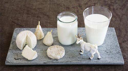 红星美羚乳业专注羊乳品质用心呵护宝宝成长