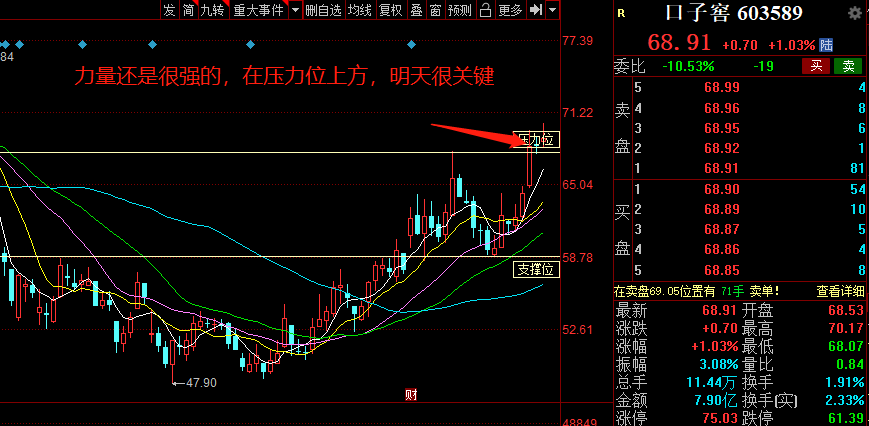 口子窖日常跟蹤_財富號_東方財富網