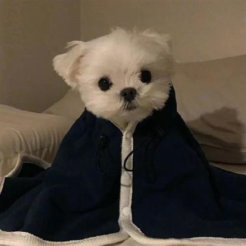 淦天雷  11-24 13:51     