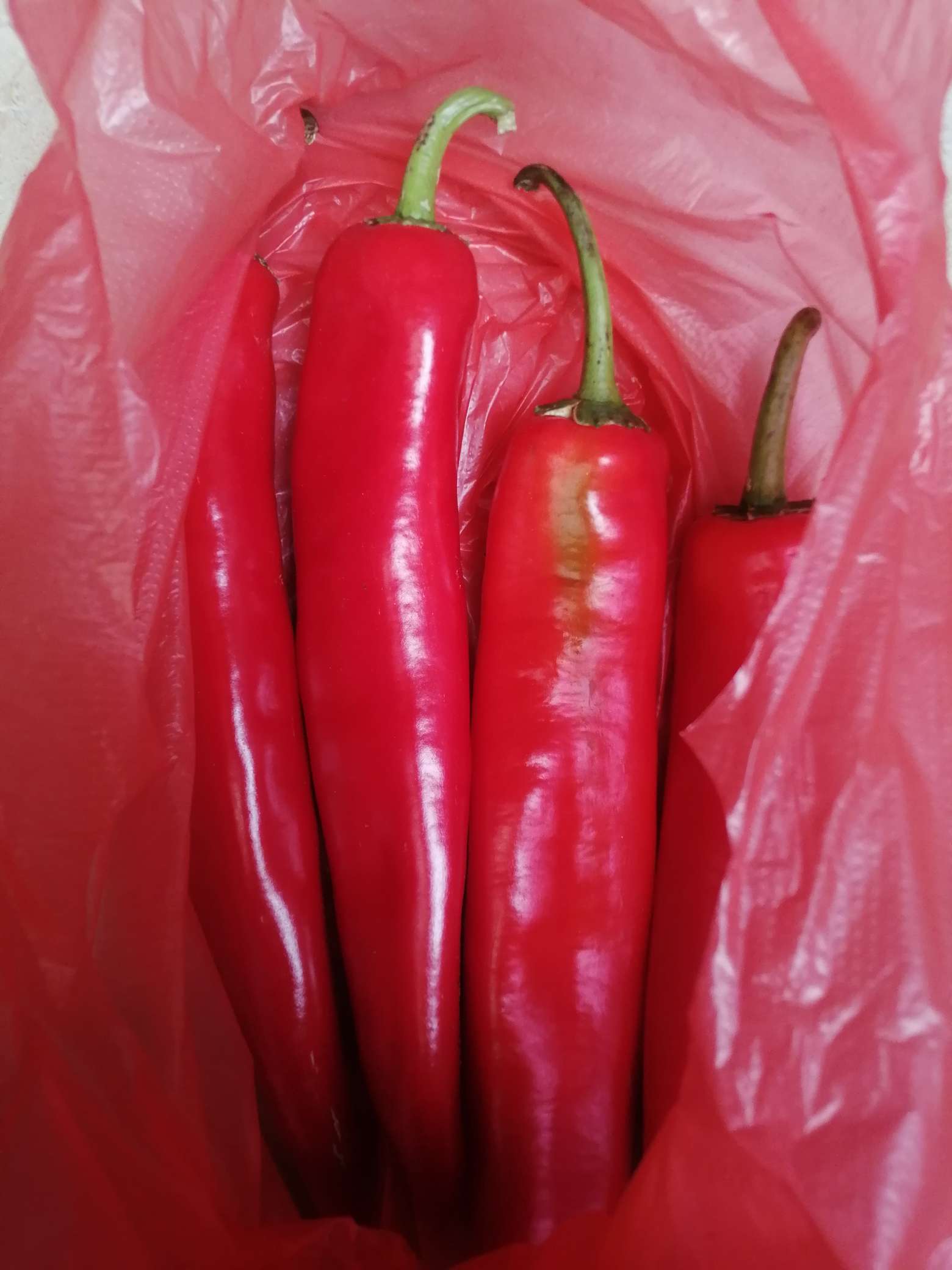 都叫我炒个红辣椒为了大红,不喜欢吃也买了,今天希望如愿