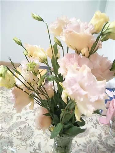 勿扰上海陈姝妤78