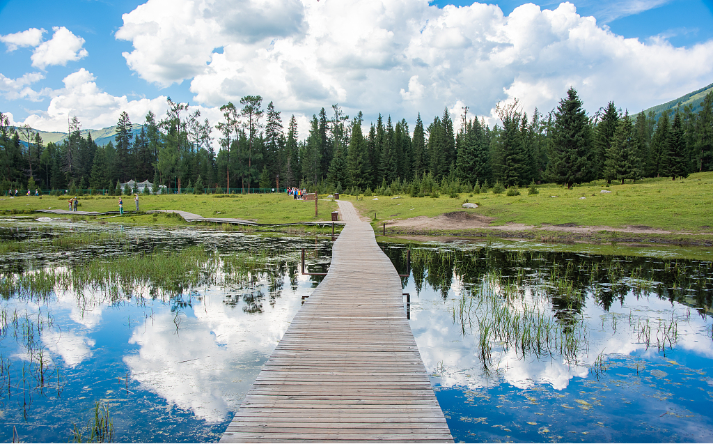 恒邦双林生态规划以自然生态为基底