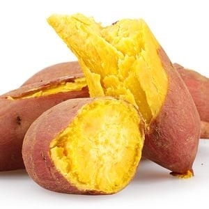 几个月可以添加肉泥 980EE3E01403658F458739CDBB462D0E_w300h300.jpg