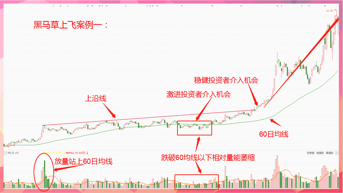 一旦发现黑马草上飞形态,不要犹豫,骑上黑马,尽情地奔跑!