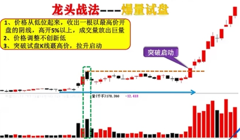 龙头战法模型