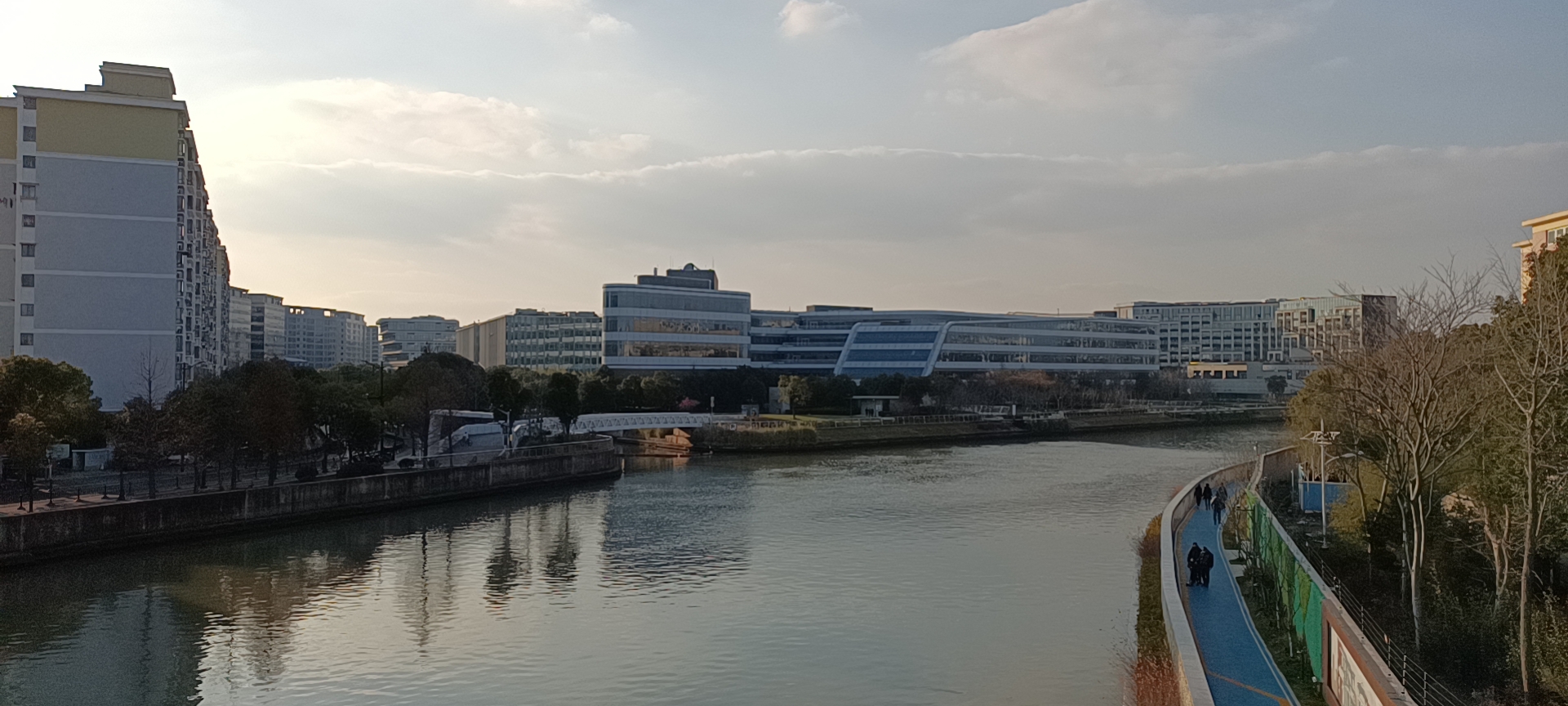 st东洋sz002086雄鹰搏击长空翱翔千里须经历折翼之痛断喙之苦