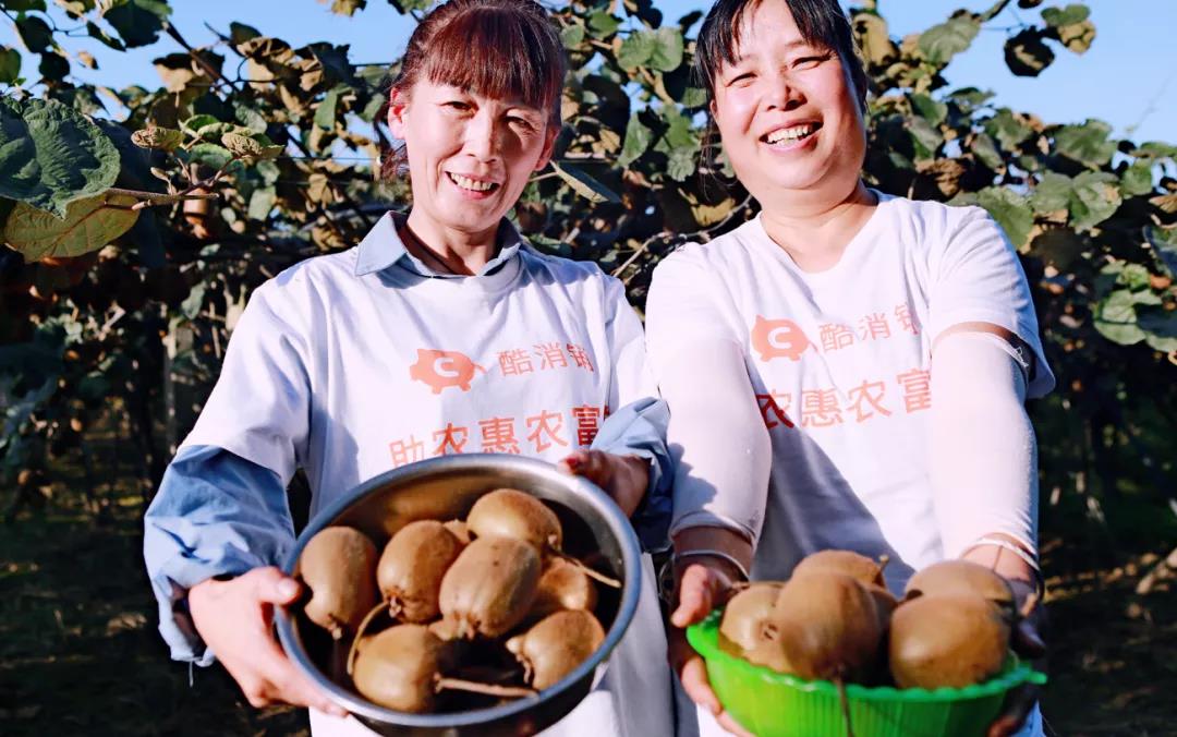 在过去一年里,酷消销与青海都兰的特色红枸杞,宗喀泉富锶山泉水,甘肃