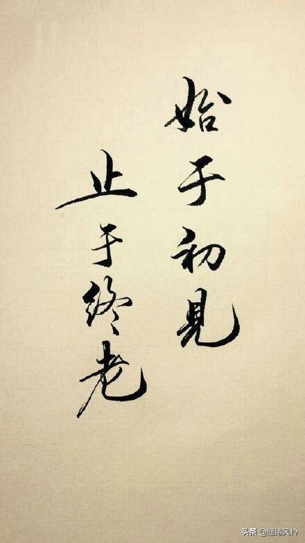 中国重工之闲话呓语:我们都是夜归人～～夜色难免黑凉～～凋零中蕴含