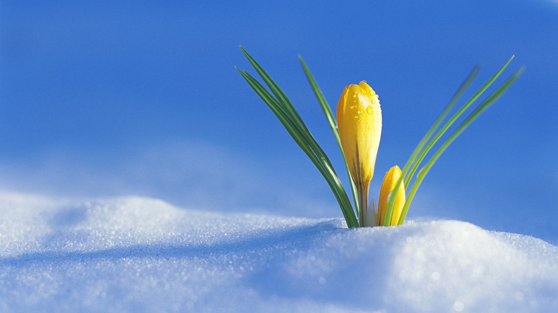 3月23日复盘:每一个光阴流转的时节,都有嫩芽悬于枝头!