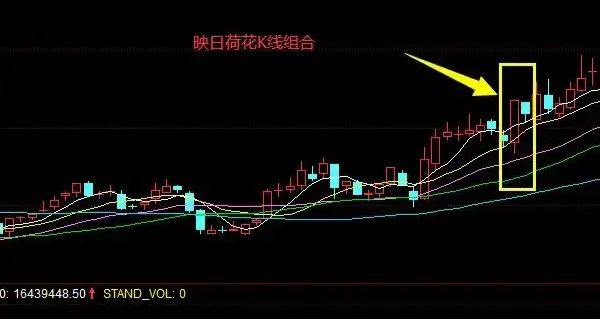 中国医药sh600056徐家汇sz002561九安医疗sz0