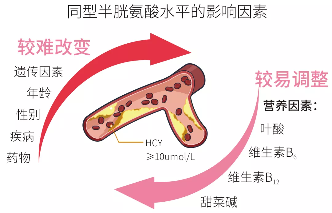 實際調研中發現,我國門診高血壓患者篩查同型半胱氨酸的比例較少,指南