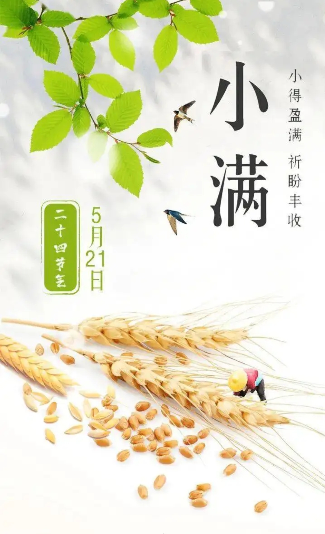 最好人生是小满花未全开月未圆