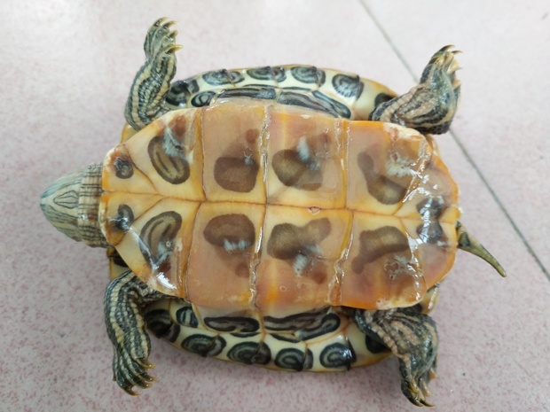 $聚力文化(sz002247)$你倒是动一动啊_聚力文化(0