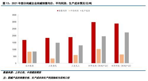 遠興能源未來的龍頭對純鹼上市公司的年報深度分析