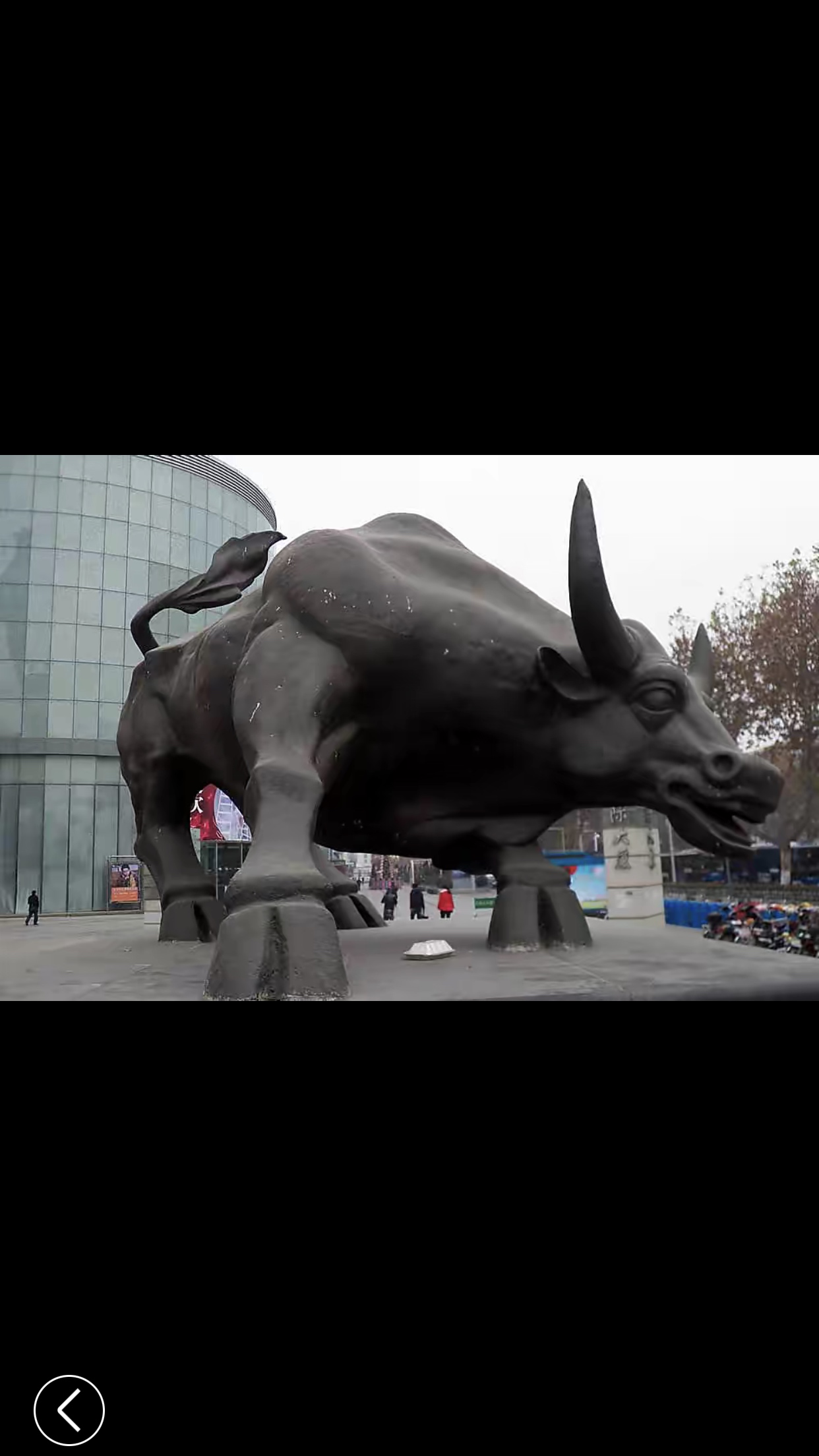 中银绒业sz000982今天巳经完成牛回头k线重拾牛奔腾向上狂势今天