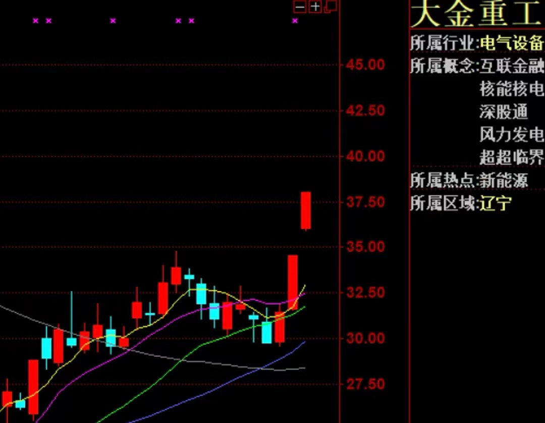 大金重工,二連板!_財富號_東方財富網