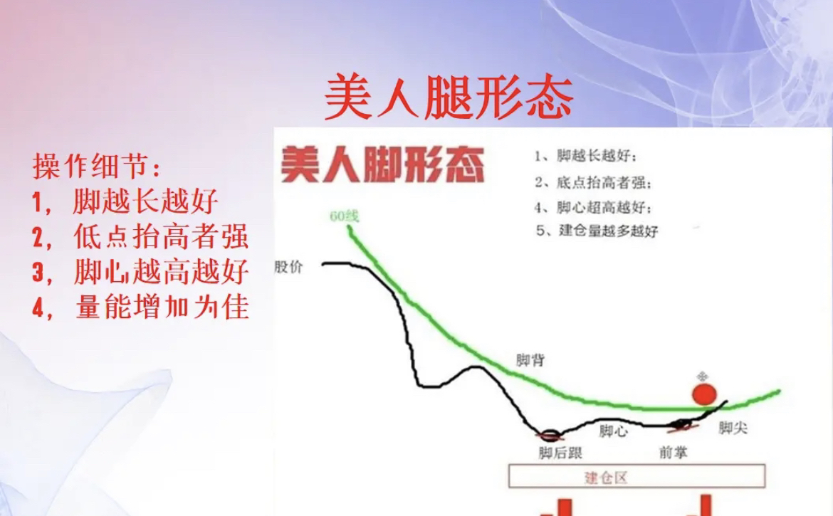 "美人腿"形态技术