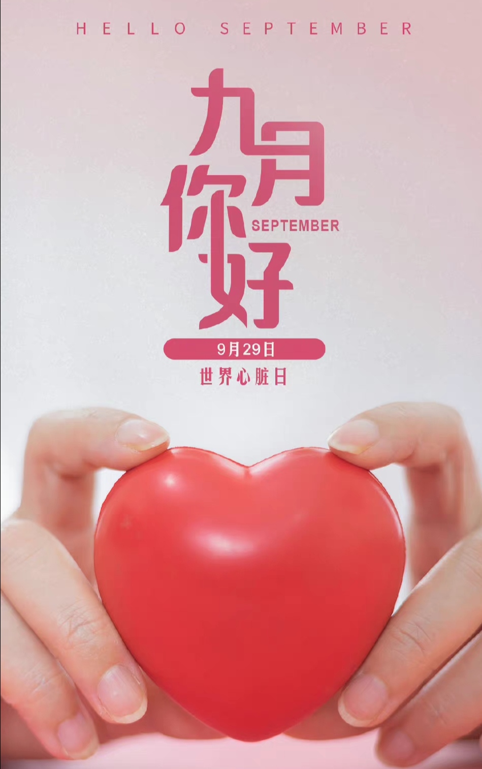 早上好九月的第一天来伊利股吧聊聊平时就很少来了献花爱心干杯古巴