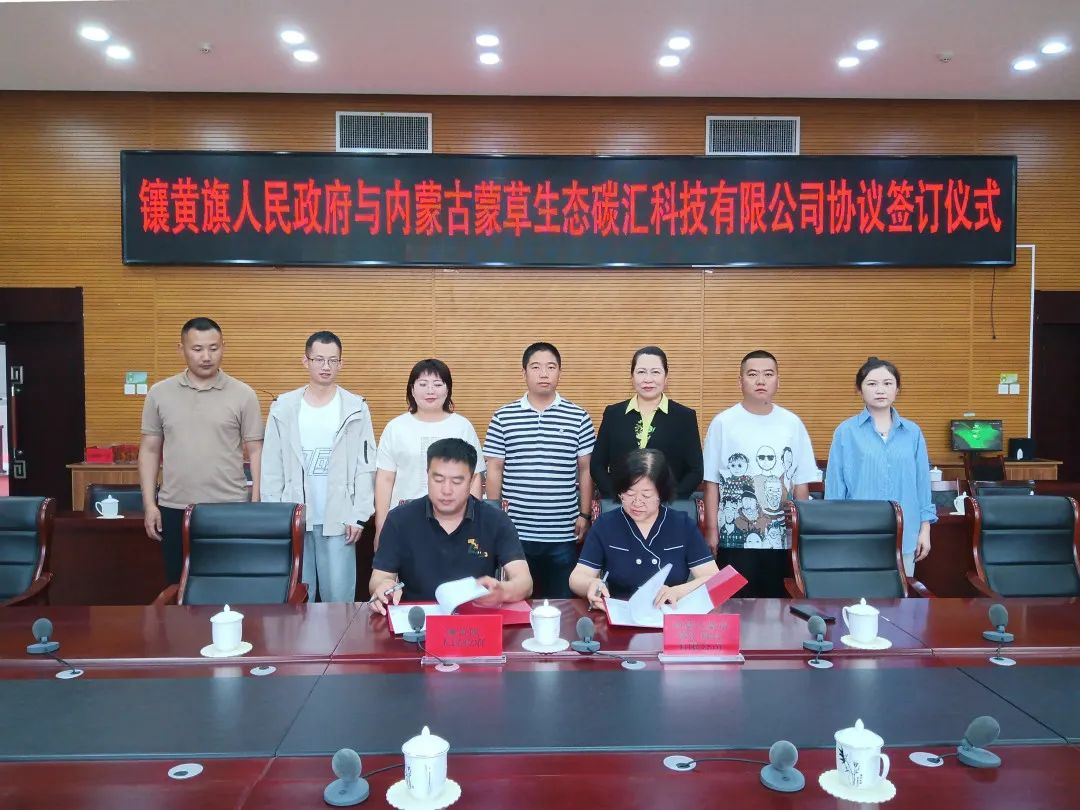 碳汇茅蒙草生态发掘每棵草的碳汇价值蒙草生态千亿市值不是梦中林集团