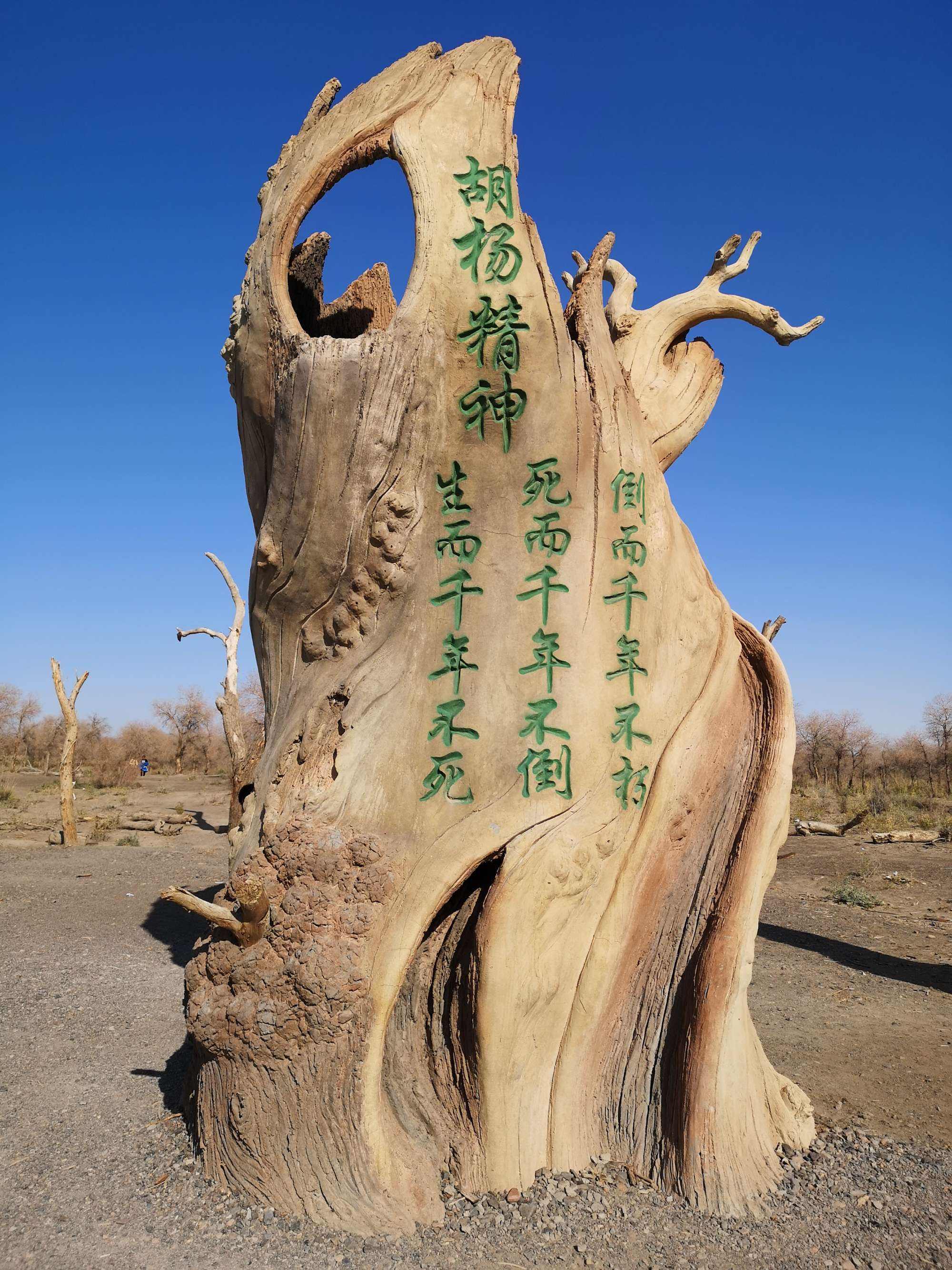 国庆,曙光又火了——"胡杨精神",前有华为,今有曙光!