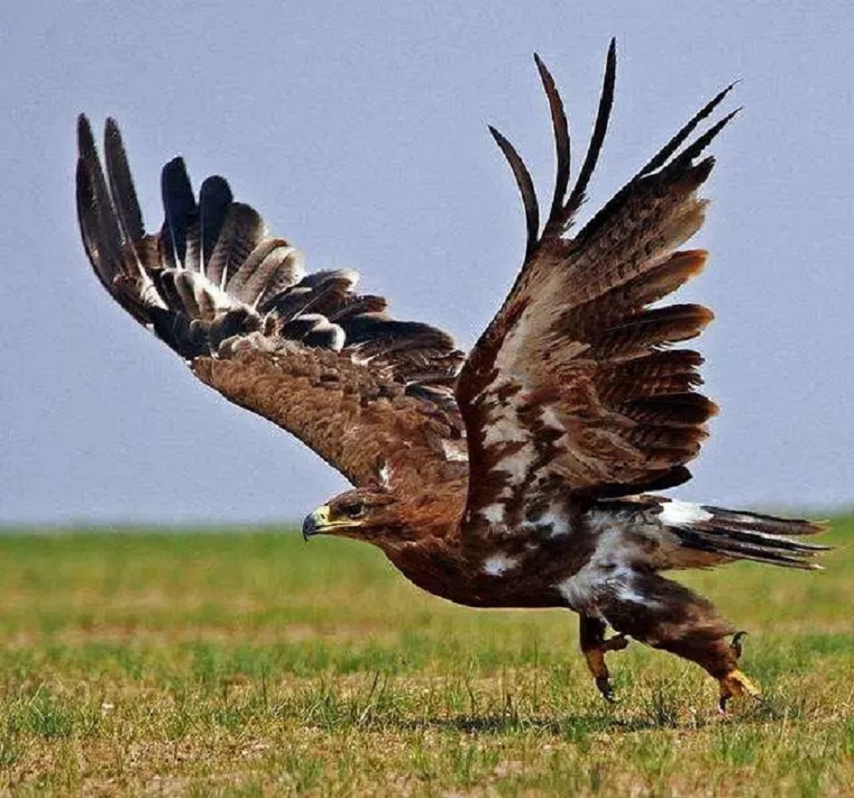 龙溪要死不活的没劲，散户不如去买兴业证券更合算！_财富号_东方财富网