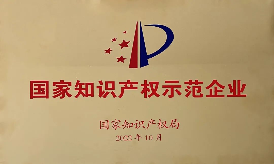 正丹股份荣获国家知识产权示范企业称号