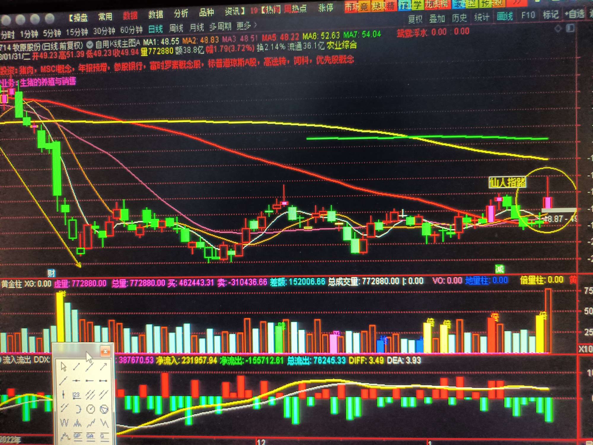 牧原股份今日解盘