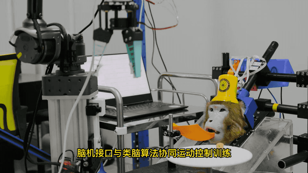 人机共生前传:这家中国公司让脑机接口走出科幻_财富号_东方财富网