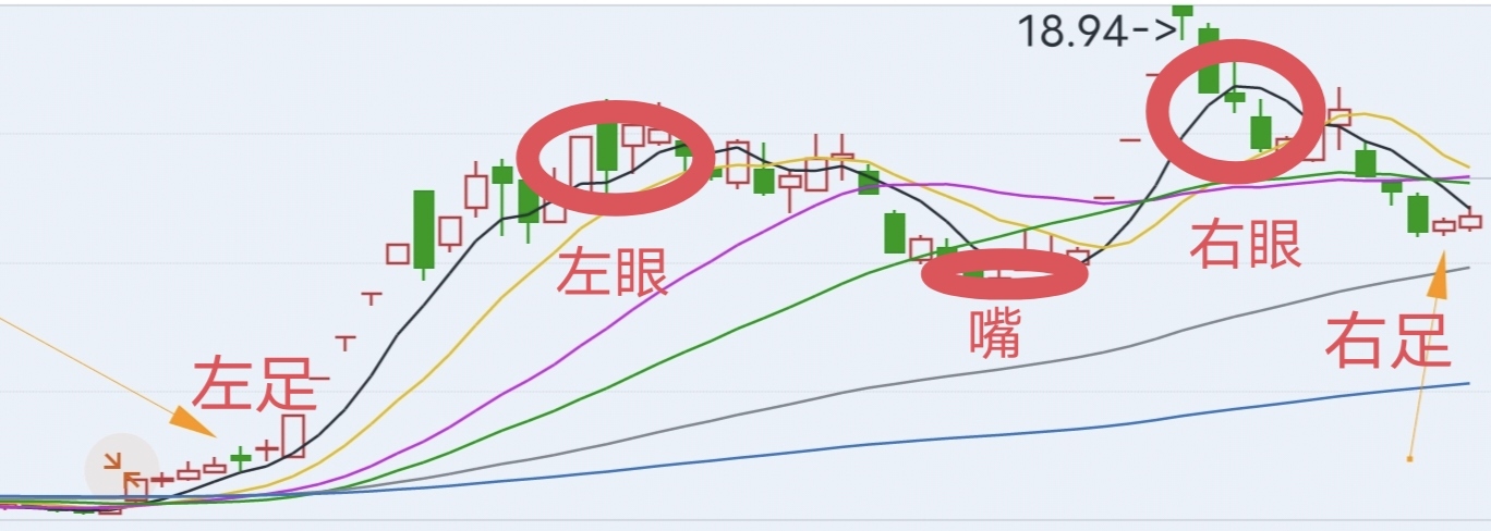 金蛤蟆 股票图片