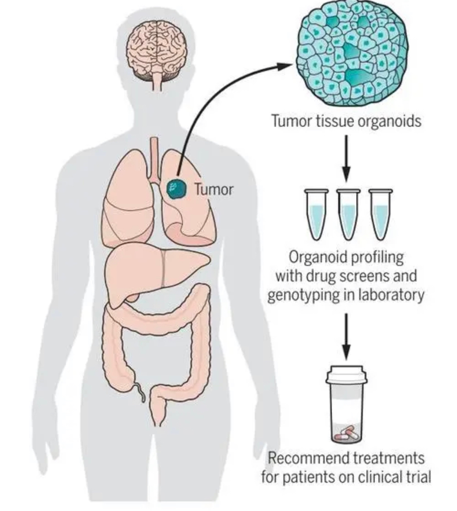 TIMEDOO蛋白质组学班：与生命科学顶尖导师面对面，领略科学研究的魅力作为医学_财富号_东方财富网