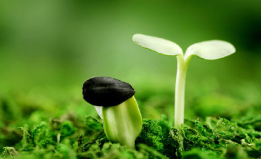 $st榕泰(sh600589)$_st榕泰(600589)股吧_东方财富网股吧