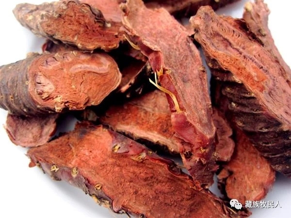 红景天苷是什么天然红景天的生态环境1生于海16002500m的山坡草地或