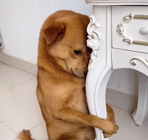 空头最后的希望是09,就等远兴200万吨货交割了_纯