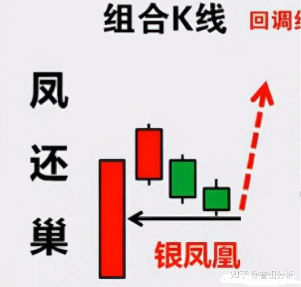凤还巢形态