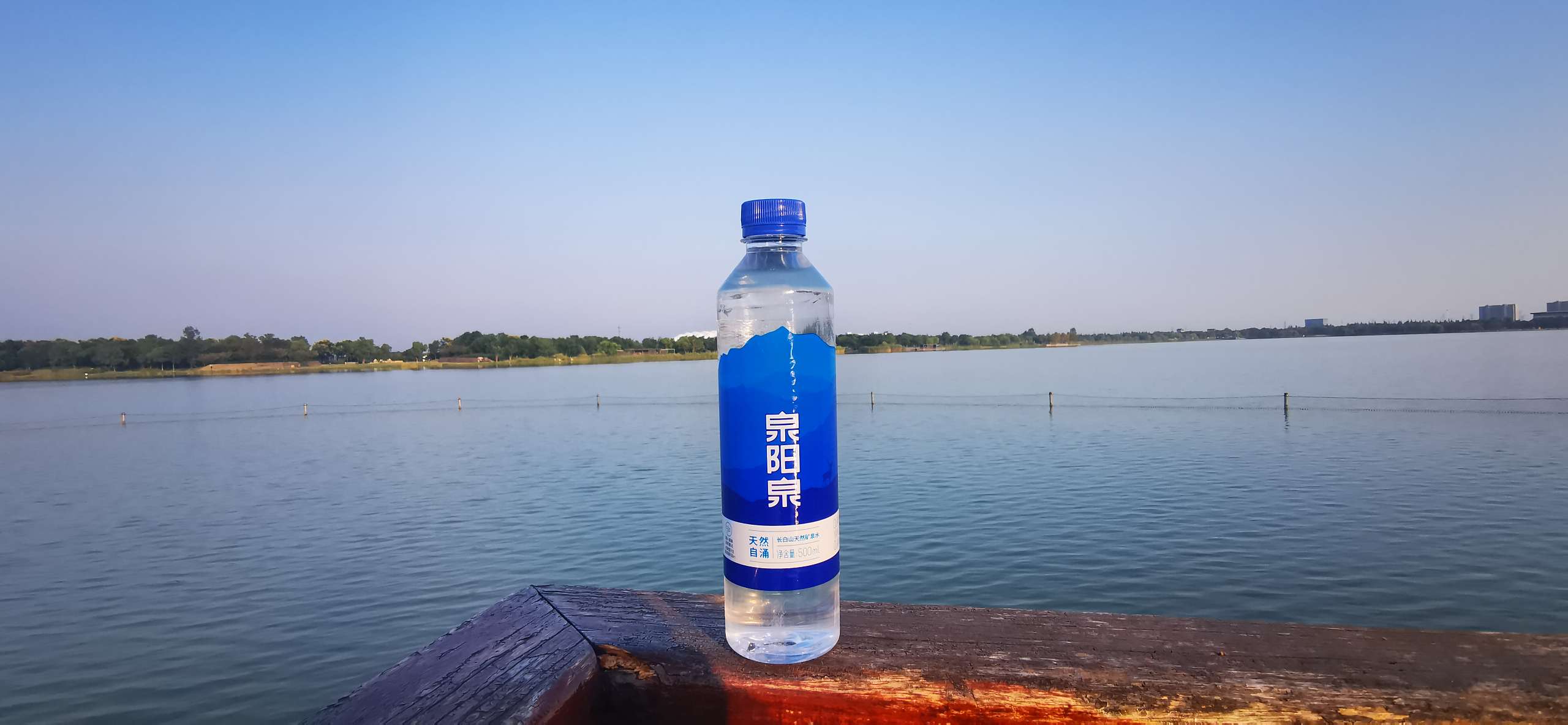 泉阳泉从一瓶水结缘