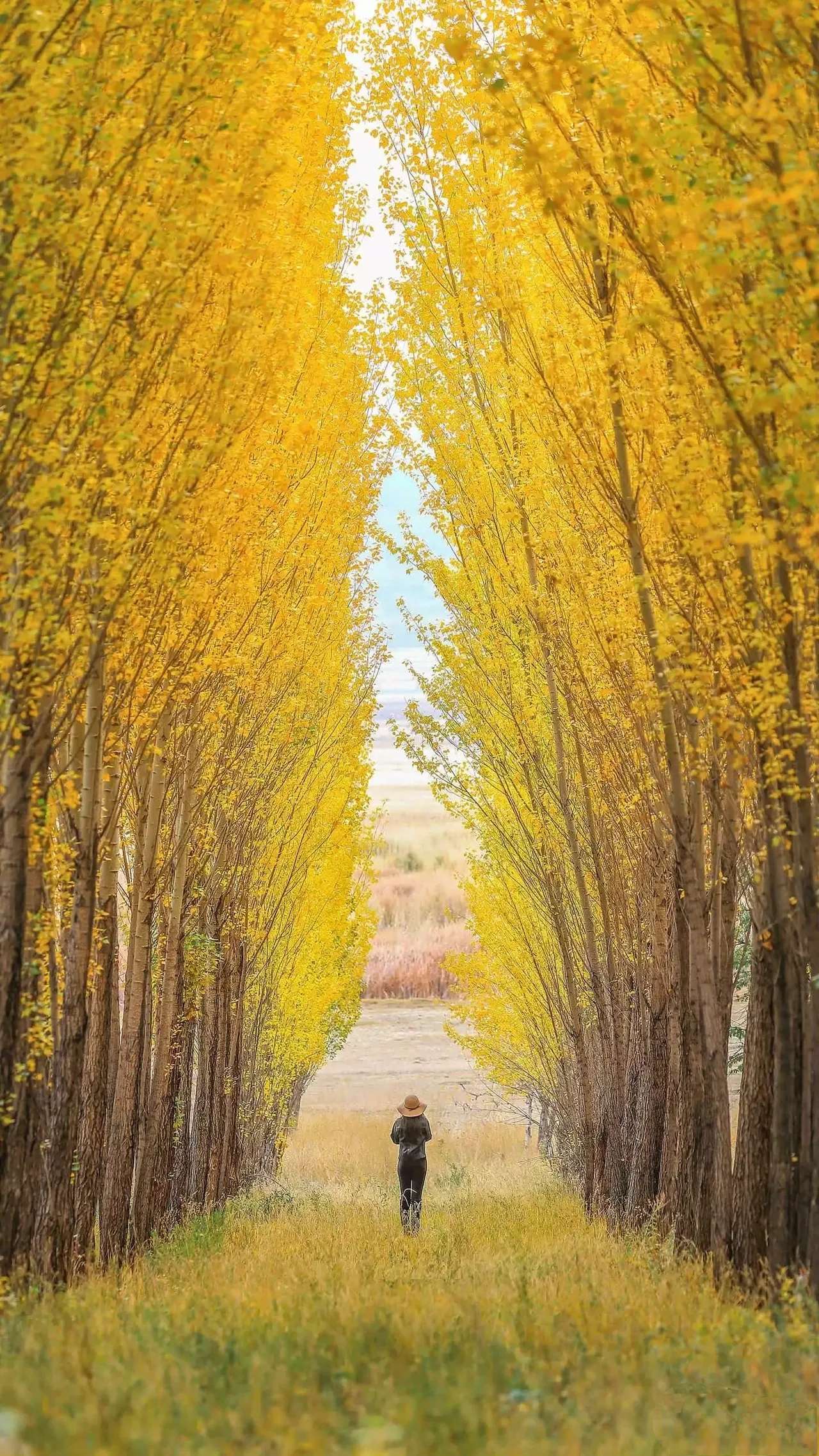 欧菲光(002456)股吧_东方财富网股吧