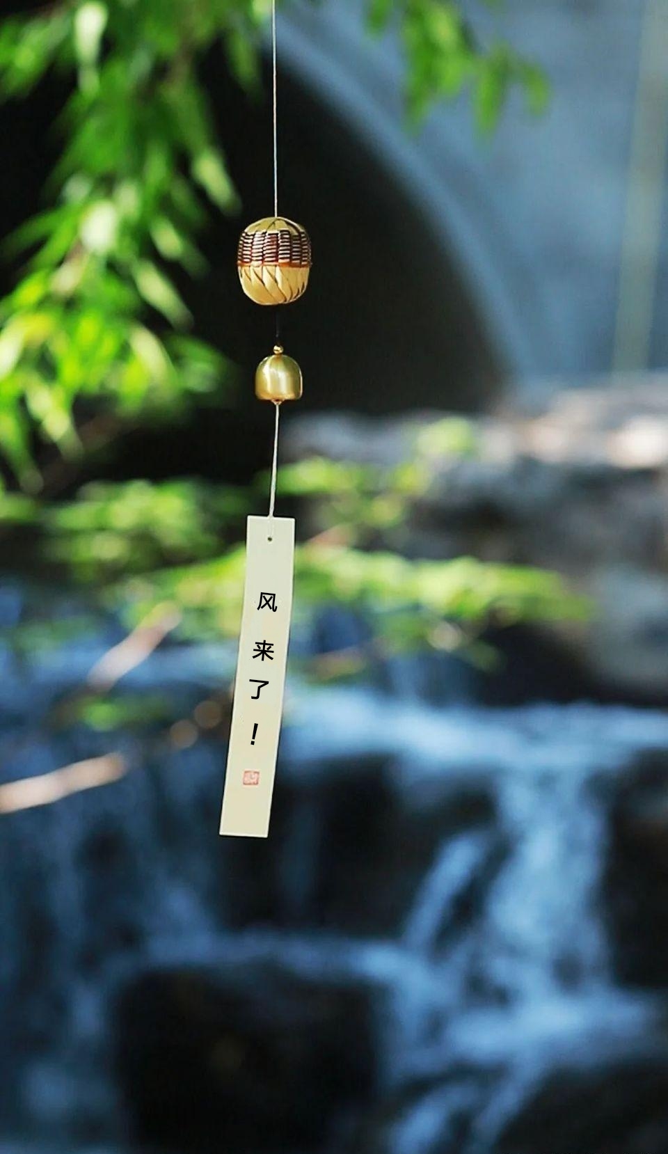 欧菲光(002456)股吧_东方财富网股吧