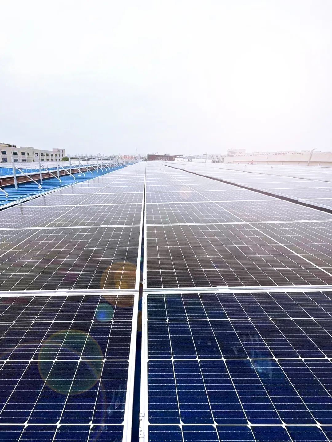 赣锋锂电34mwp分布式光伏发电项目并网成功赣锋锂业lithium20231