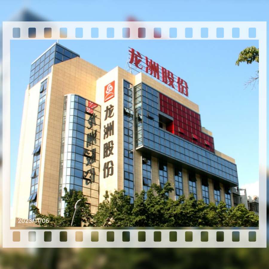 攒股之龙洲股份