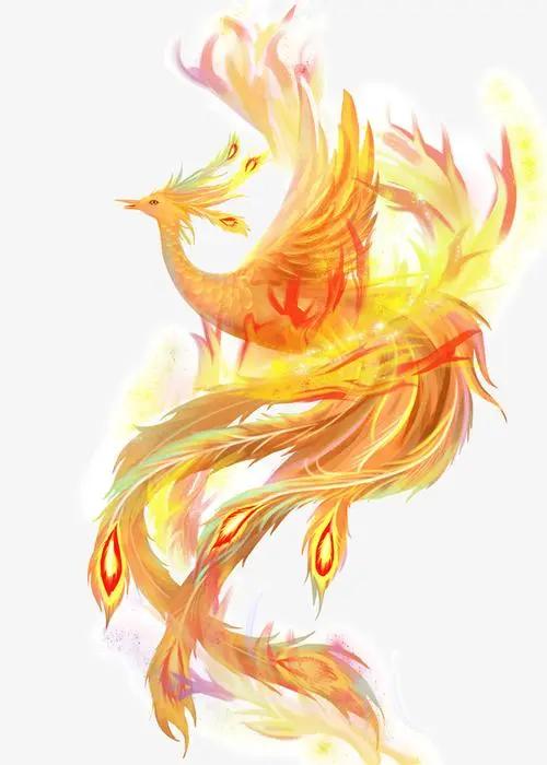 动物概念龙飞凤舞
